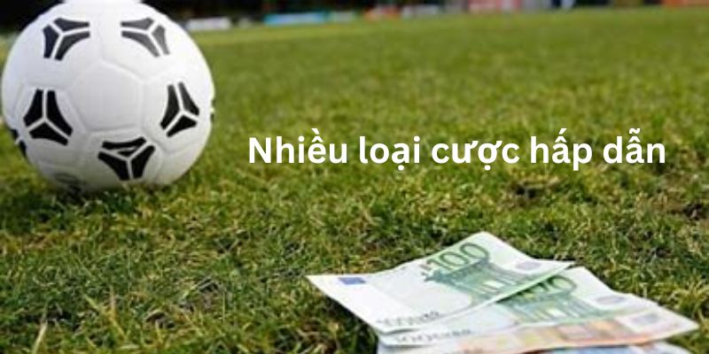 IM Sports Vin777 - Hướng Dẫn Tham Gia Sảnh Cược Thể Thao 4 Đa dạng hình thức đặt cược