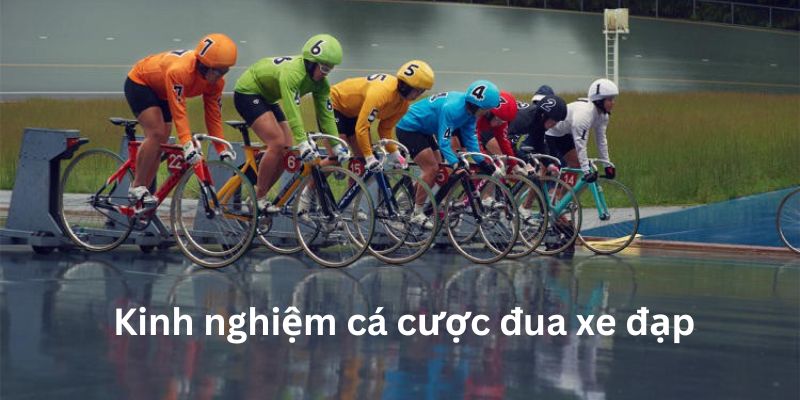 Cá Cược Đua Xe Đạp: Bí Quyết Thắng Lớn Cùng Vin777 5 Chia sẻ bí quyết đặt cược