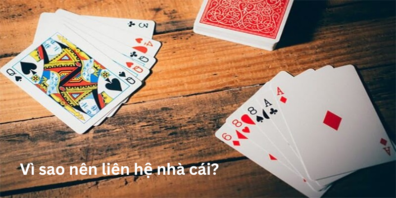 Cách Nhận Hỗ Trợ Từ Nhà Cái Vin777 - Chính Xác Và Kịp Thời 5 Các phương thức liên hệ nhà cái nhanh chóng và hiệu quả